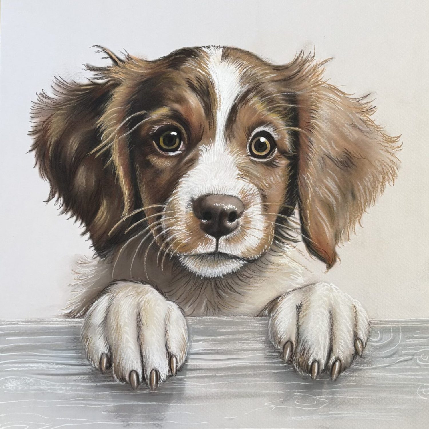 retraro mascota